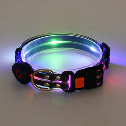 Rechargeable LED Pet Collar with Nylon Leash