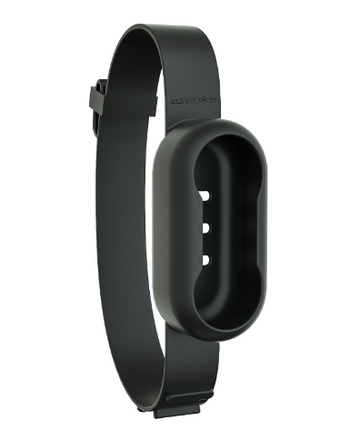 Pet Collar Camera