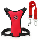 Red Set / XS