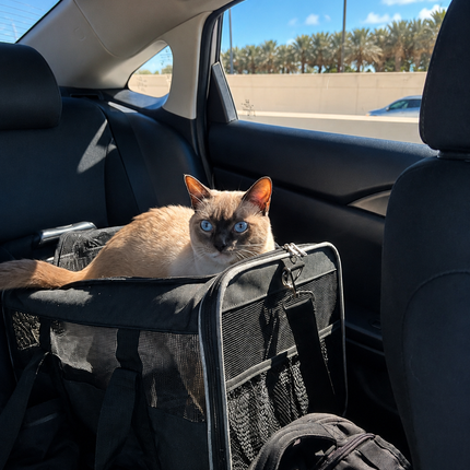 Luxury Pet Travel Roller