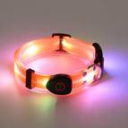 Dog Collar Orange / USB