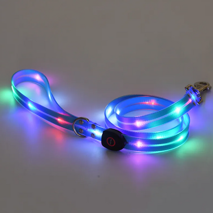 Rechargeable LED Pet Collar with Nylon Leash