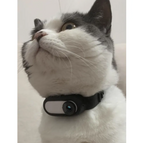 Black / Black Collar Camera