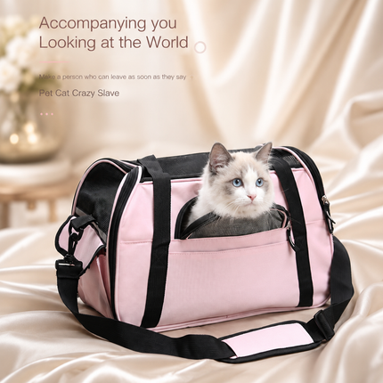 Premium Pet Carrier for Travel & Outdoor Adventures