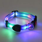 Dog Collar Blue / USB