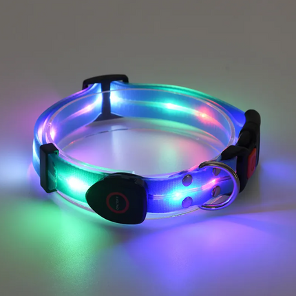 Rechargeable LED Pet Collar with Nylon Leash
