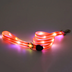 Dog Traction Belt Orange / USB