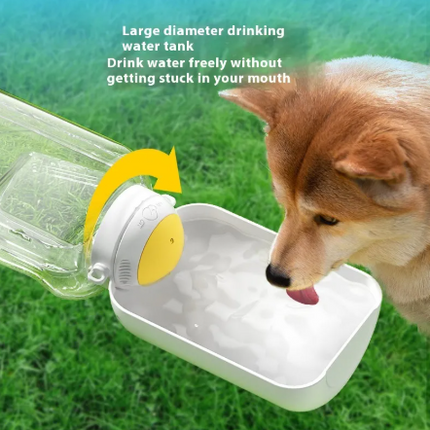 2-in-1 water and food dispenser